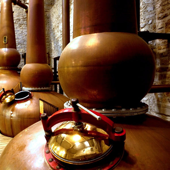 Visitar las destilerías – TEQUILA, PUEBLOS MÁGICOS